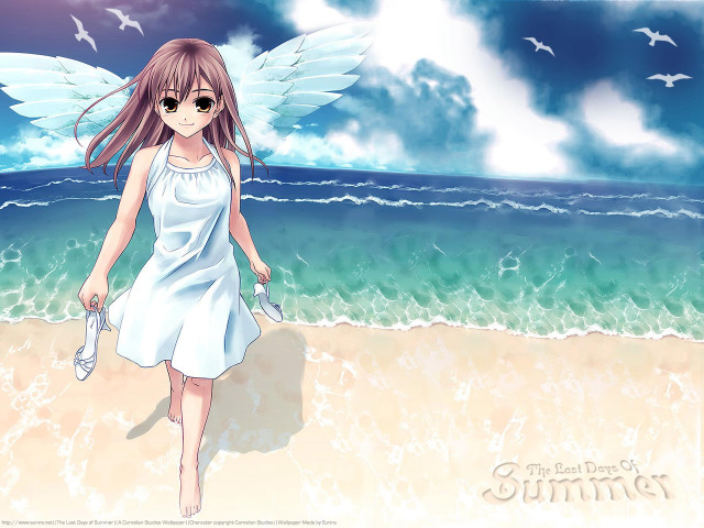 Girl white dress beach bird free wallpaper for desktop - medium preview image