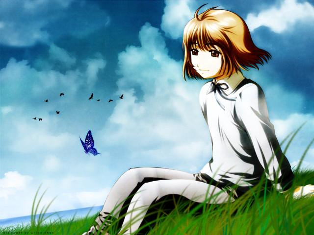Girl butterfly grass hill outdoors free wallpaper for desktop - medium preview image