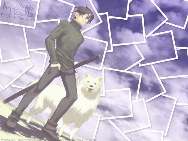 Man dog cloudy sky portrait free wallpaper for desktop - medium preview image