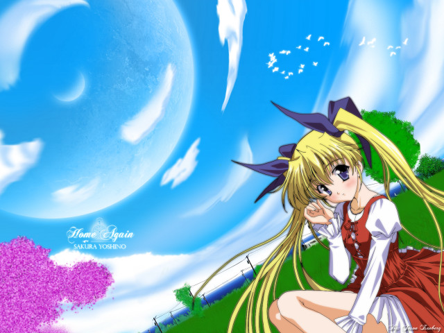 Anime girl sitting grass field free wallpaper for desktop - medium preview image