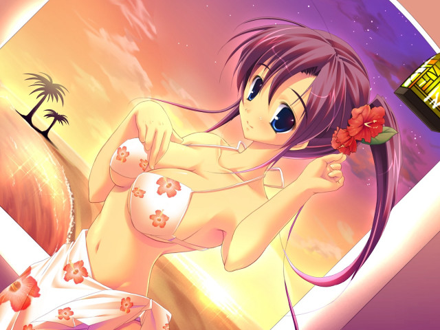 Woman bikini flower alcohol beach #3 free wallpaper for desktop - medium preview image