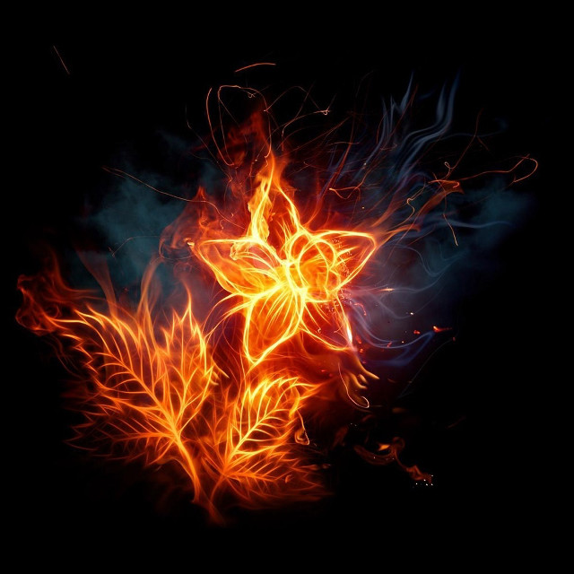 Fire flower dark bright lights free wallpaper for tablet - medium preview image