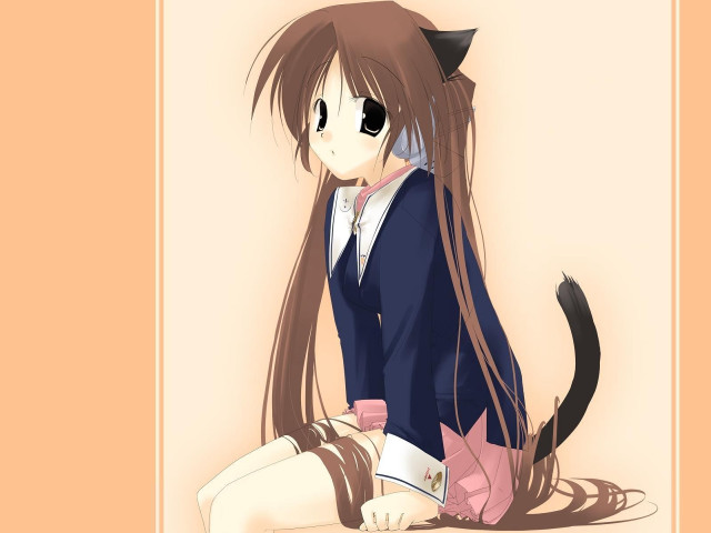 Anime girl cat ears tail #5 free wallpaper for desktop - medium preview image