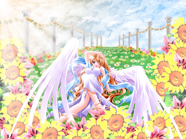 Angel wings flower field dress free wallpaper for desktop - medium preview image