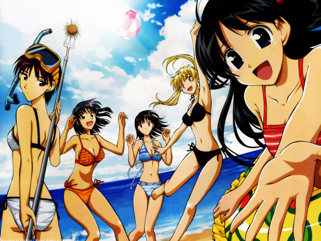Beach girls bikini summer ocean free wallpaper for desktop - medium preview image