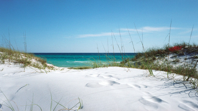 Beach ocean sand dunes blue free wallpaper for desktop - medium preview image