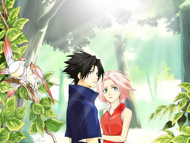 Anime forest couple birds sakura free wallpaper for desktop - medium preview image
