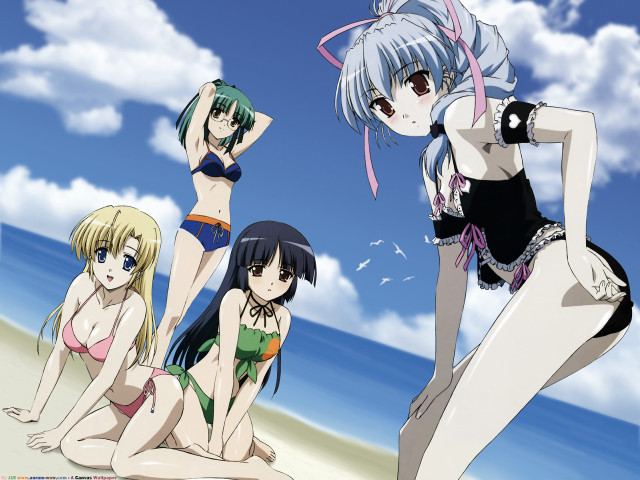 Beach women bathing suits ocean free wallpaper for desktop - medium preview image