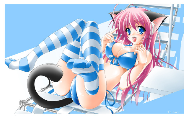 Alice bluette cat lay furry free wallpaper for desktop - medium preview image