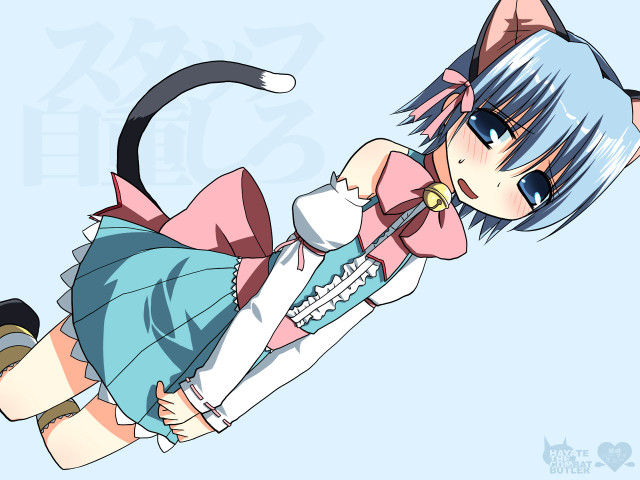 Ayako rokkaku anime cat ears free wallpaper for desktop - medium preview image
