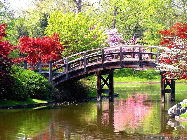 Bridge pond red tree flowers #2 free wallpaper for desktop - medium preview image