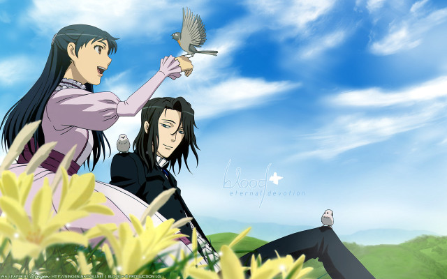 Grass field birds flower sunlight free wallpaper for desktop - medium preview image