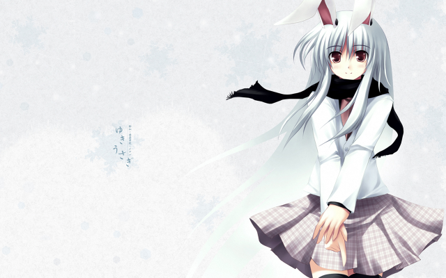 Bunny girl snow anime cat free wallpaper for desktop - medium preview image