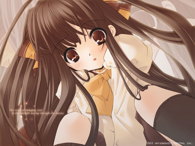 Girl longhair cat ears yellow free wallpaper for desktop - medium preview image