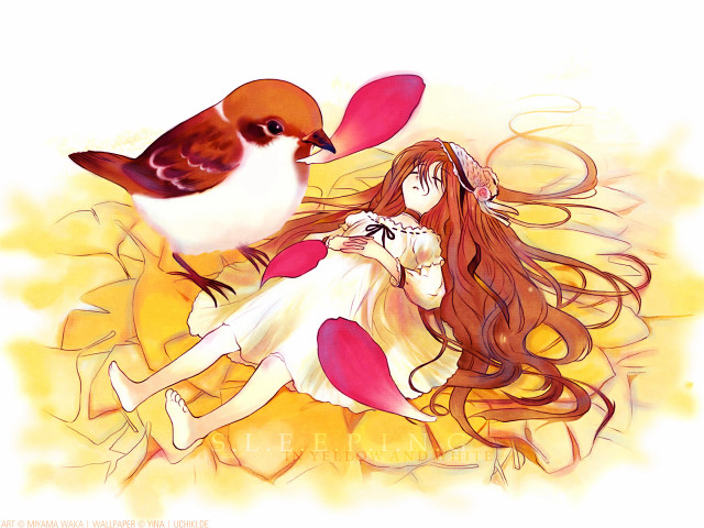 Alice girl bird yellow background free wallpaper for desktop - medium preview image