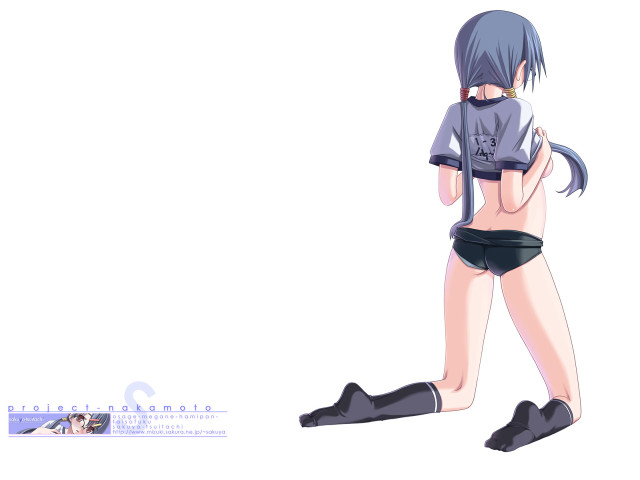 Woman bluehair kneeling back anime free wallpaper for desktop - medium preview image