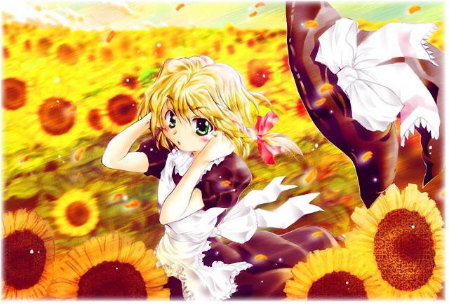 Sunflower field butterfly manga portrait free wallpaper for desktop - medium preview image