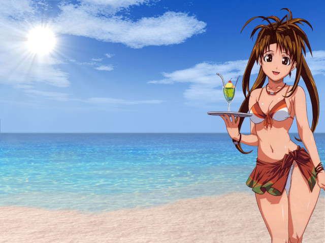 Woman bikini beach food drink free wallpaper for desktop - medium preview image