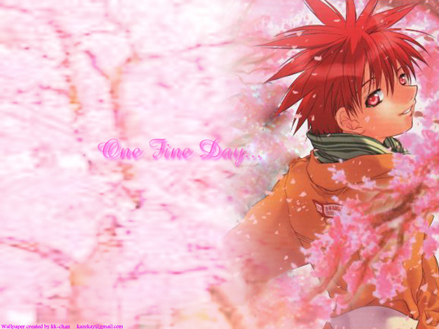 Red hair anime branch pink free wallpaper for desktop - medium preview image