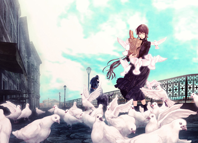 Girl pigeons city street anime free wallpaper for desktop - medium preview image
