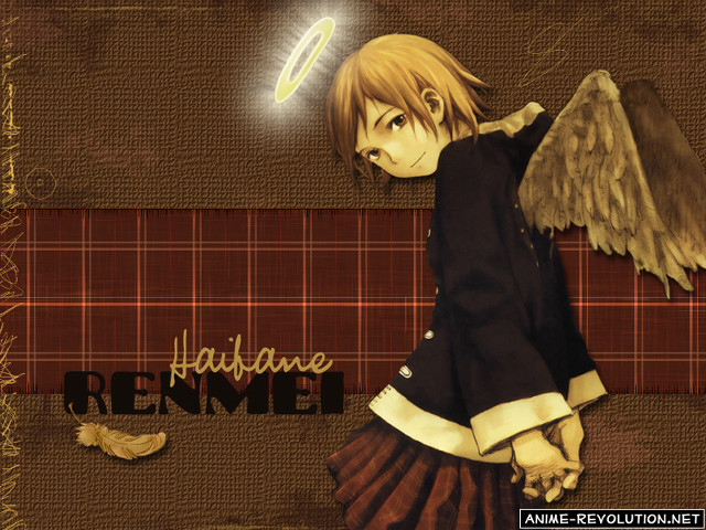 Angel wings anime girl fence free wallpaper for desktop - medium preview image