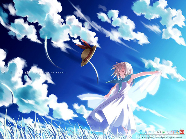 Girl dress hat kite beach free wallpaper for desktop - medium preview image
