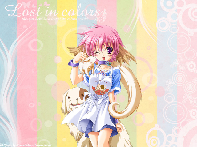 Pink hair girl dog cupcake free wallpaper for desktop - medium preview image