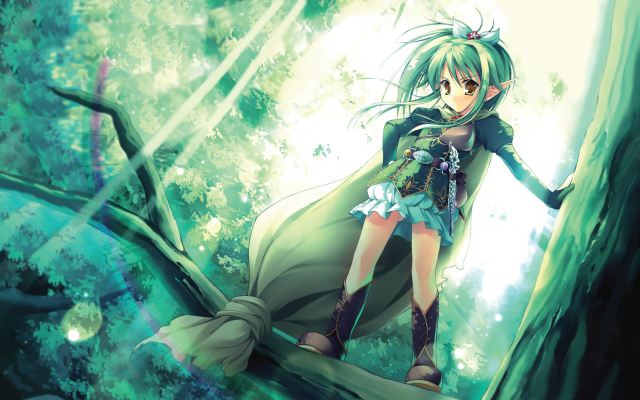 Forest elf girl sword moon free wallpaper for desktop - medium preview image
