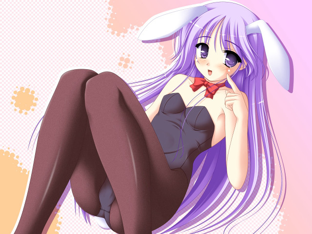 Purple hair bunny ears anime free wallpaper for desktop - medium preview image