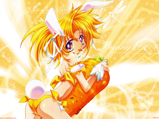 Bunny ears yellow dress carrot free wallpaper for desktop - medium preview image