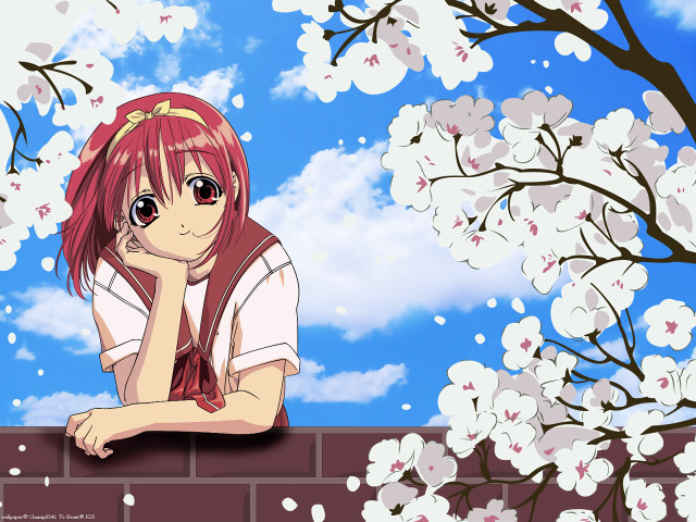 Cherry blossom girl brick wall free wallpaper for desktop - medium preview image