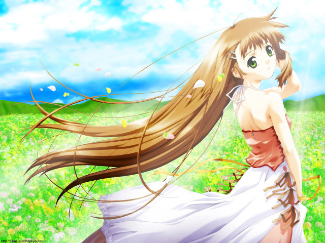 Girl dress flower field wind free wallpaper for desktop - medium preview image