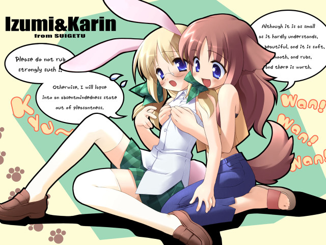 Anime girls speech bubbles cat free wallpaper for desktop - medium preview image