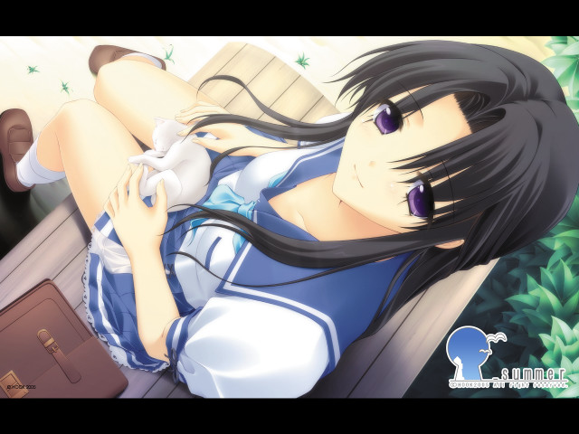 Chizuko yoshida kyoto plant suitcase free wallpaper for desktop - medium preview image