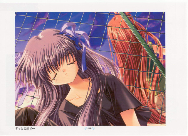 Girl ponytail fence bird night free wallpaper for desktop - medium preview image