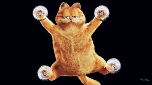 Cat yoga dumbbells arabesque planet free wallpaper for desktop - medium preview image