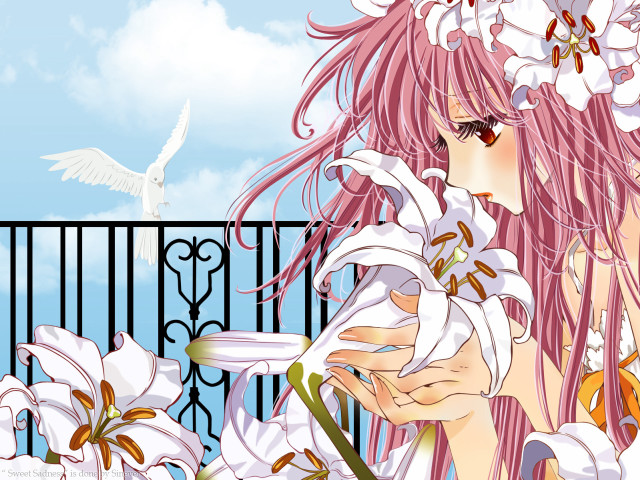 Pink hair flower bird gothic free wallpaper for desktop - medium preview image