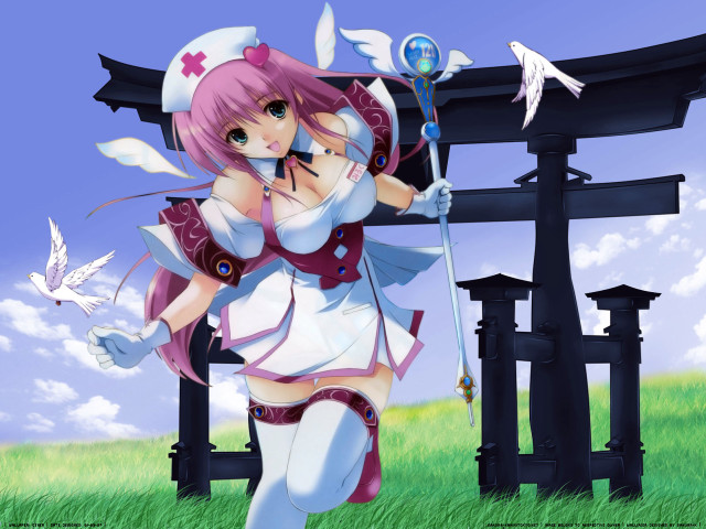 Girl sword bird gate anime free wallpaper for desktop - medium preview image