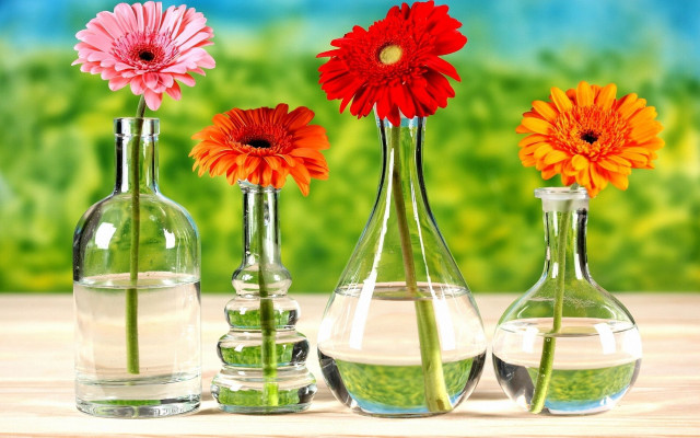 Three vases flowers table water #2 free wallpaper for desktop - medium preview image