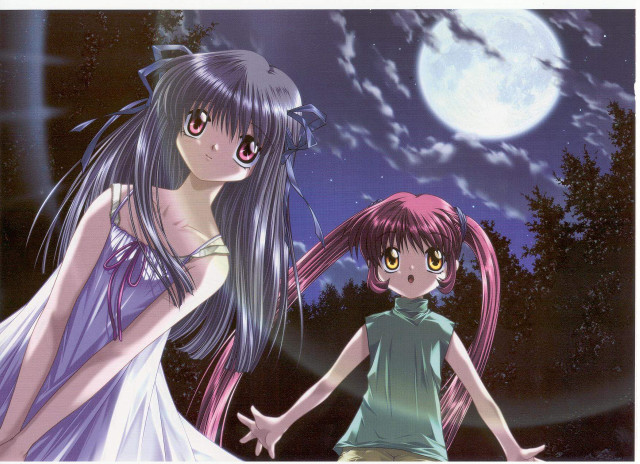 Moonlight anime girls pink blue free wallpaper for desktop - medium preview image