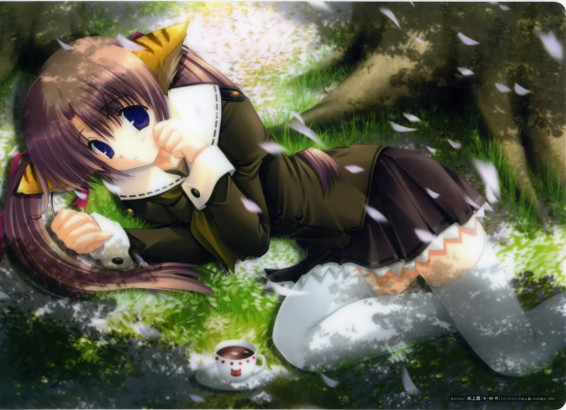 Alice prin lying cat bird free wallpaper for desktop - medium preview image