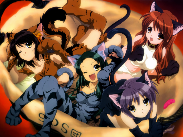 Anime girls banana cats animal free wallpaper for desktop - medium preview image