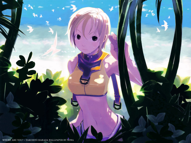 Woman bikini forest bird overhead #2 free wallpaper for desktop - medium preview image