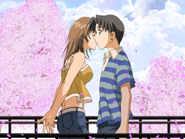 Couple kissing cherry blossoms anime free wallpaper for desktop - medium preview image