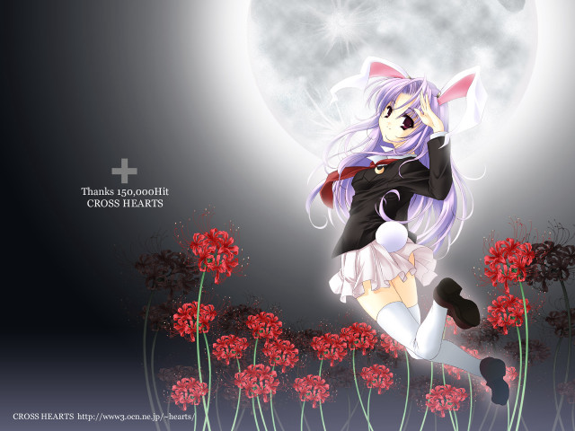 Anime girl field fullmoon flowers free wallpaper for desktop - medium preview image