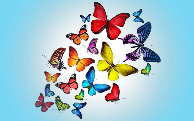 Colorful butterflies flying sky vivid free wallpaper for desktop - medium preview image
