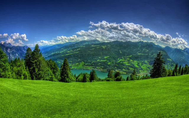 Green field trees mountains lake free wallpaper for desktop - medium preview image