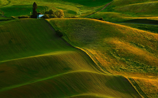 Green field tree house pond free wallpaper for desktop - medium preview image
