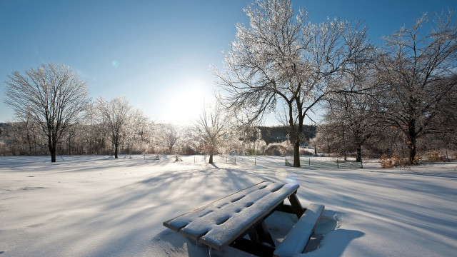 Snowy park bench trees house free wallpaper for desktop - medium preview image