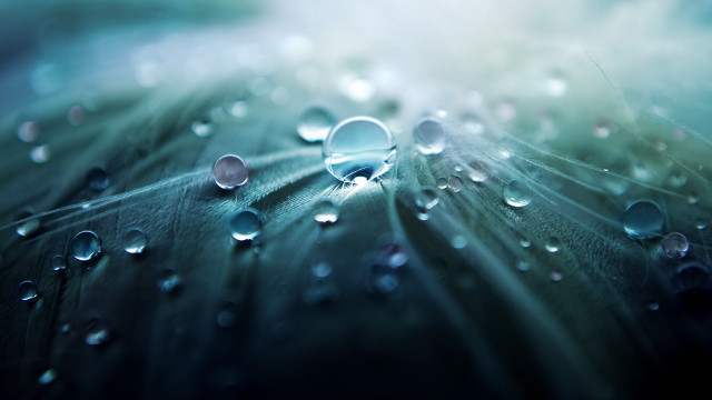 Leaf water droplets blue sky #3 free wallpaper for desktop - medium preview image